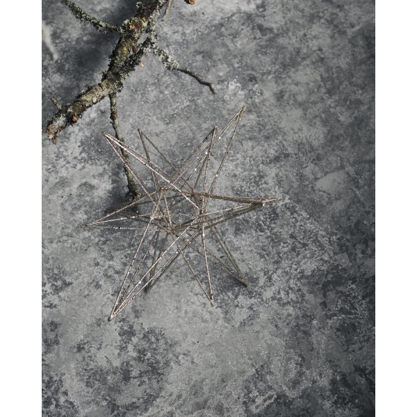 Ornament, Star, Champagne - Bilde 2