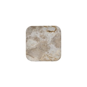Fat, Thyme 20x20 cm