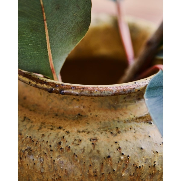 Vase, Mustard - Bilde 3