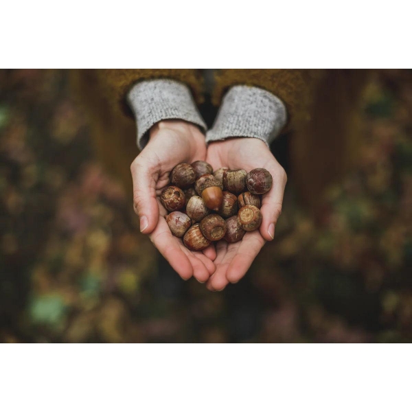 The Art Of Slow Living - Bilde 3