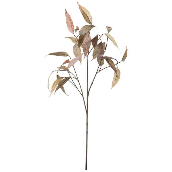 Eucalyptus, 90 cm