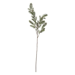 Gran, 80 cm