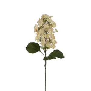 Syrénhortensia, 80 cm