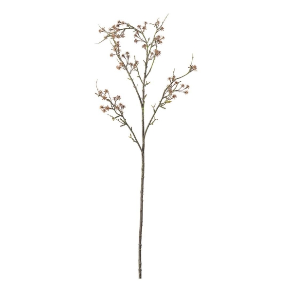 Brudeslør (Gypsophila)