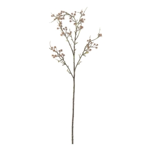 Brudeslør (Gypsophila)