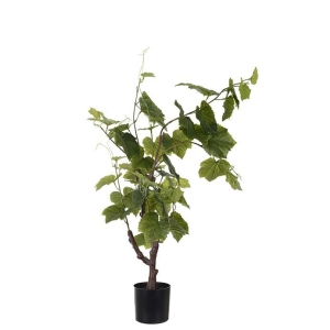 Vinstock 90cm