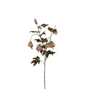 Blomsterlønn