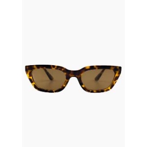 Nove, Tort/Brown