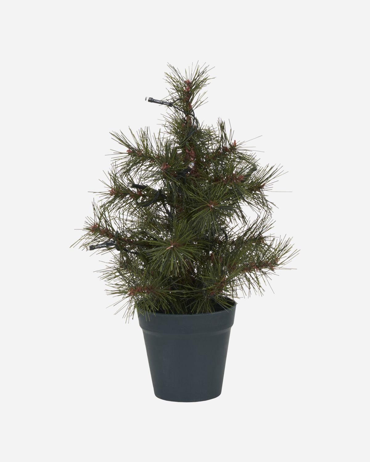 Juletre m/LED, Natur