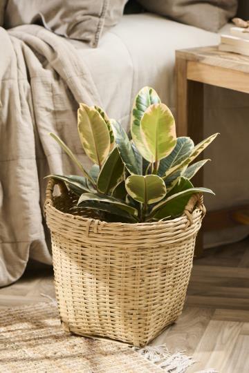 Bambus Kurv, m/hank - Bilde 2