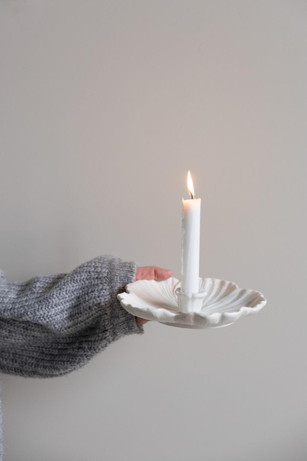 Lysestake, Botanik, L - Bilde 2