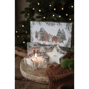 Duftlys, vinterstjerne, s/2