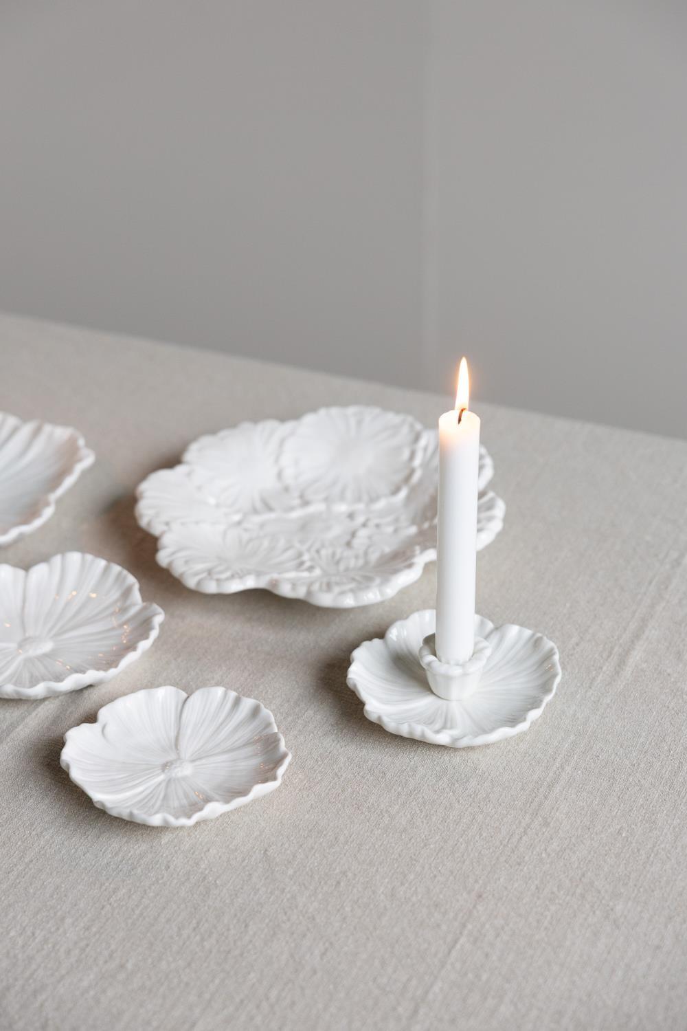 Lysestake, Botanik - Bilde 2