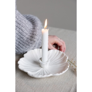 Lysestake, Botanik, L