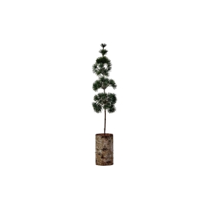 Juletre, Pine, 60cm