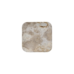Fat, Thyme 20x20 cm