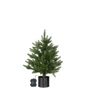 Gran m/belysning i krukke, 60 cm
