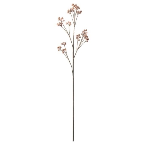Bærkvist, Brun, 85 cm