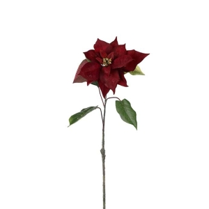 Julestjerne, 50 cm