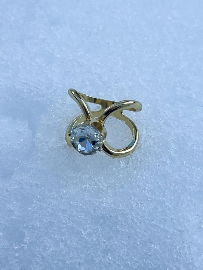 Scarf Ring, Stone, Gull