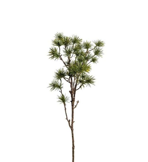Lerk, 60 cm