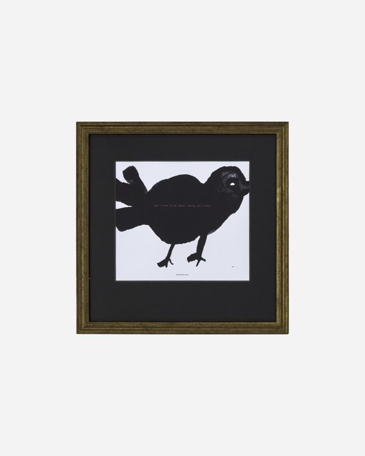 Wall Art, Bird