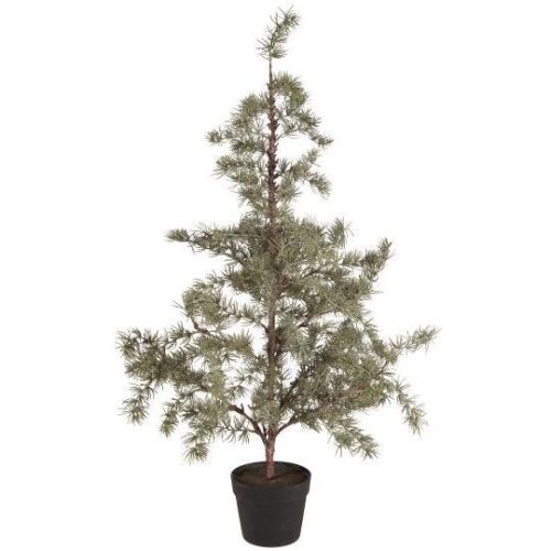 Sedertre, 105 cm