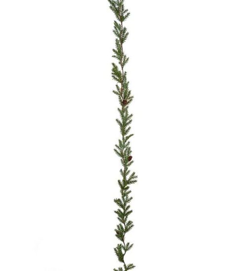 Grangirlander m/kongler, 180 cm
