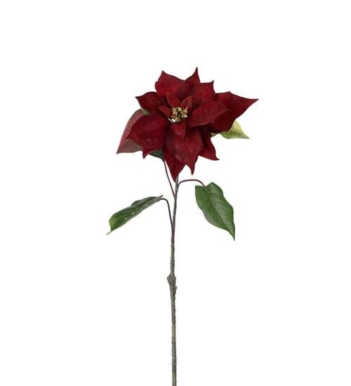Julestjerne, 50 cm